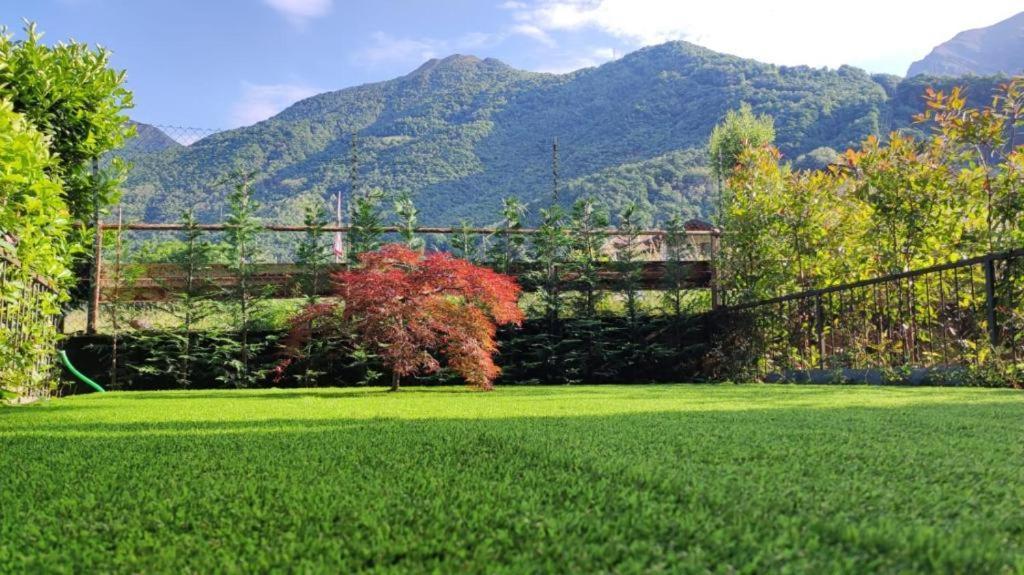 La Casa Di Sara In Valsassina Apartman Introbio Kültér fotó
